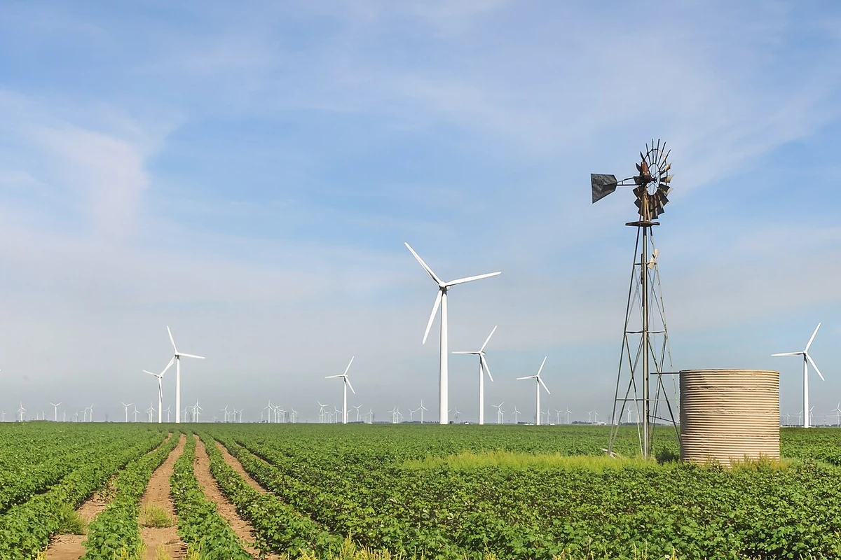 Aerogeneradores y un molino antiguo en el parque Roscoe, al oeste de Texas.