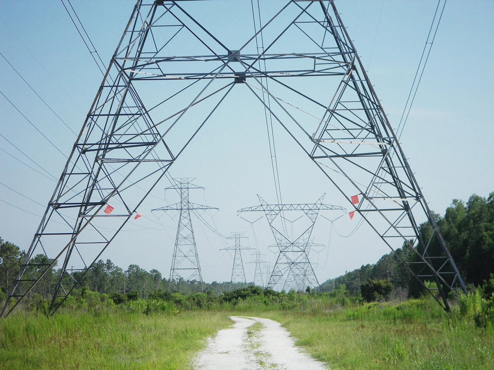 Foto de archivo de torres eléctricas en el condado de Pasco, Florida; infraestructura fuera de la región PJM